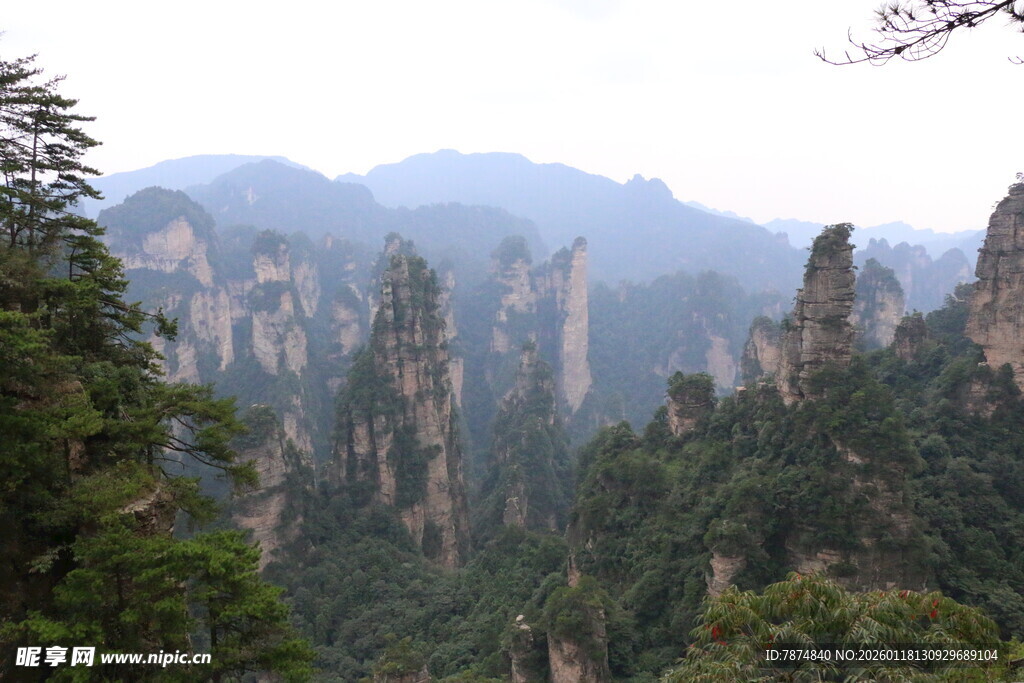 张家界奇峰林立美景