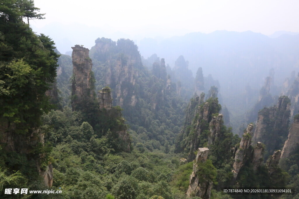 张家界奇峰林立美景