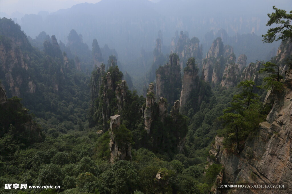 张家界奇峰林立美景