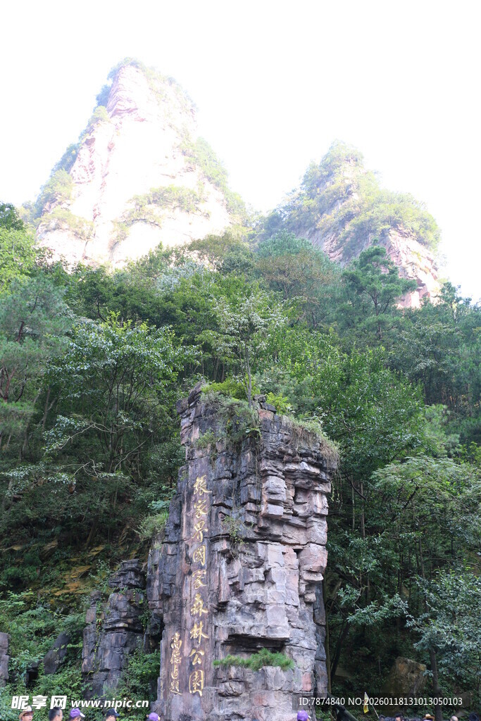 山间残垣 隐于葱郁绿意