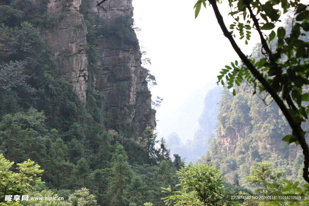 山间绿意盎然的壮丽峡谷