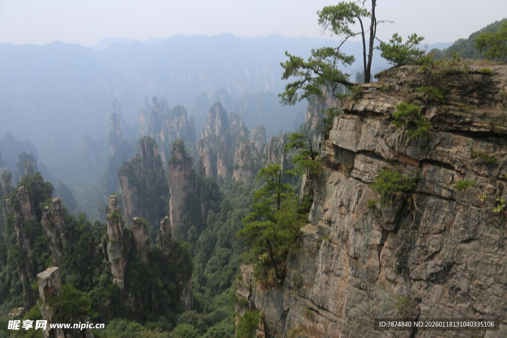 悬崖边的山林壮丽景观
