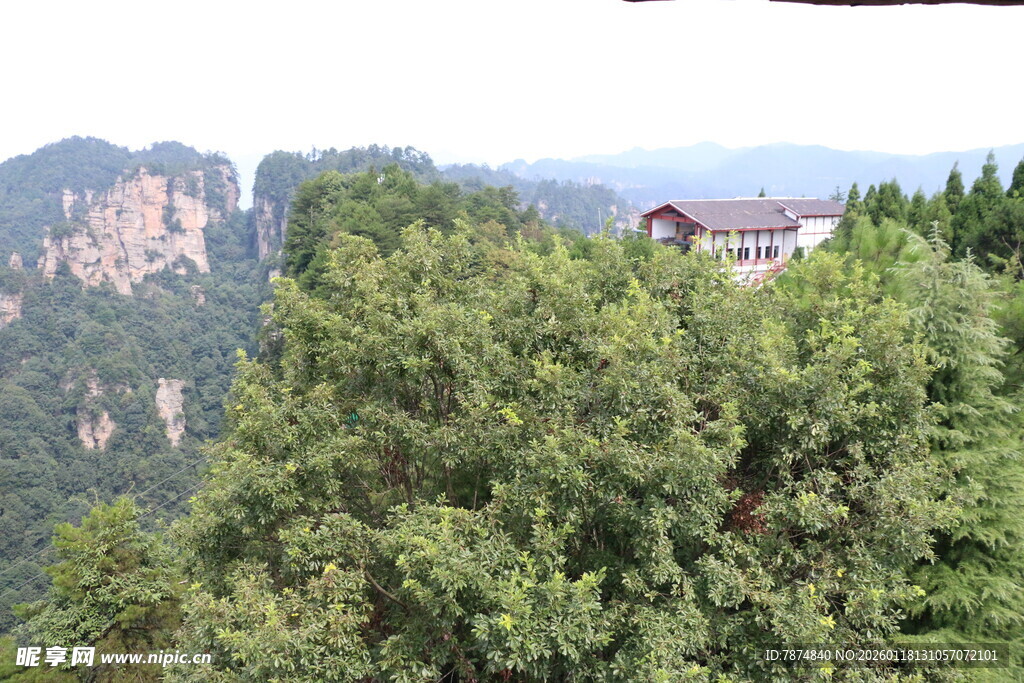 山间绿树环绕的别致小屋