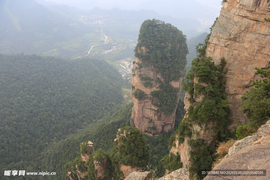 奇峰屹立于山林间