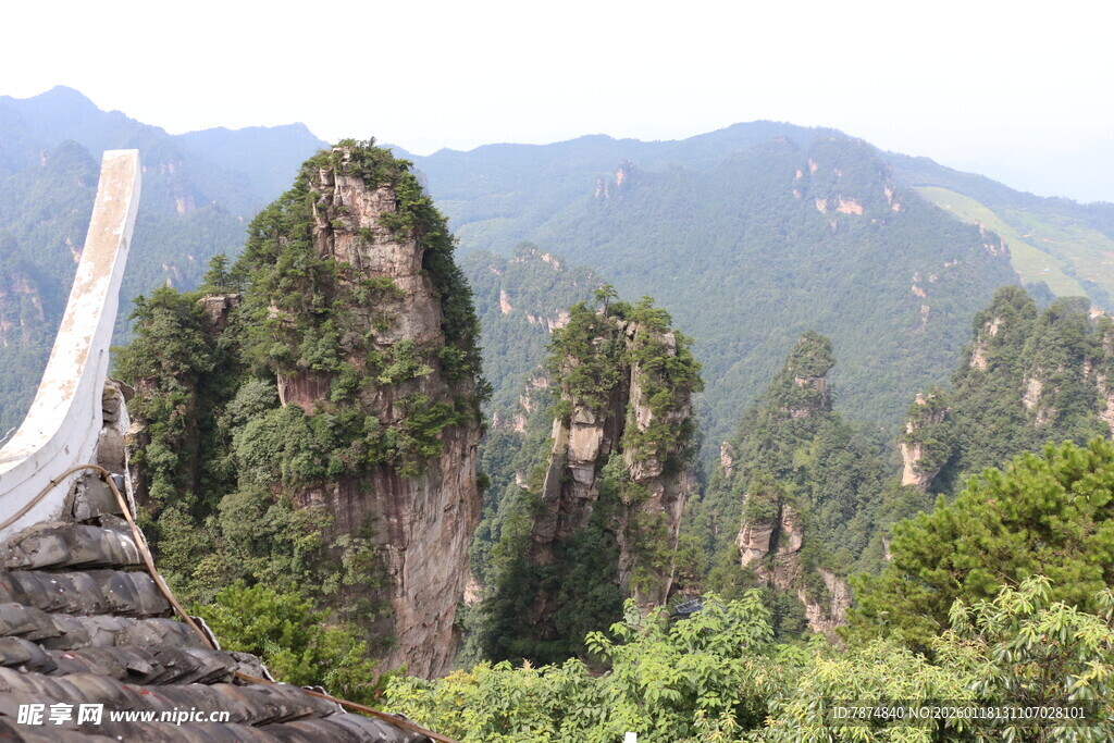 俯瞰张家界奇峰异石景观