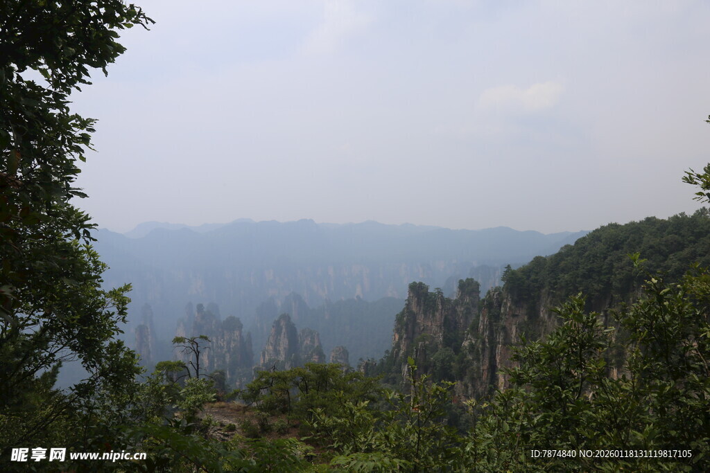 张家界奇峰美景