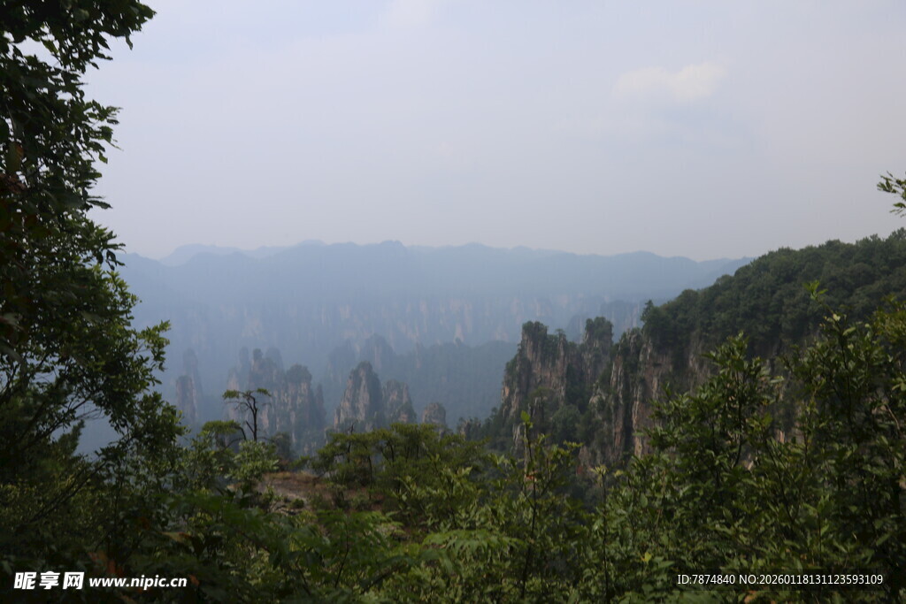 张家界奇峰丛林美景
