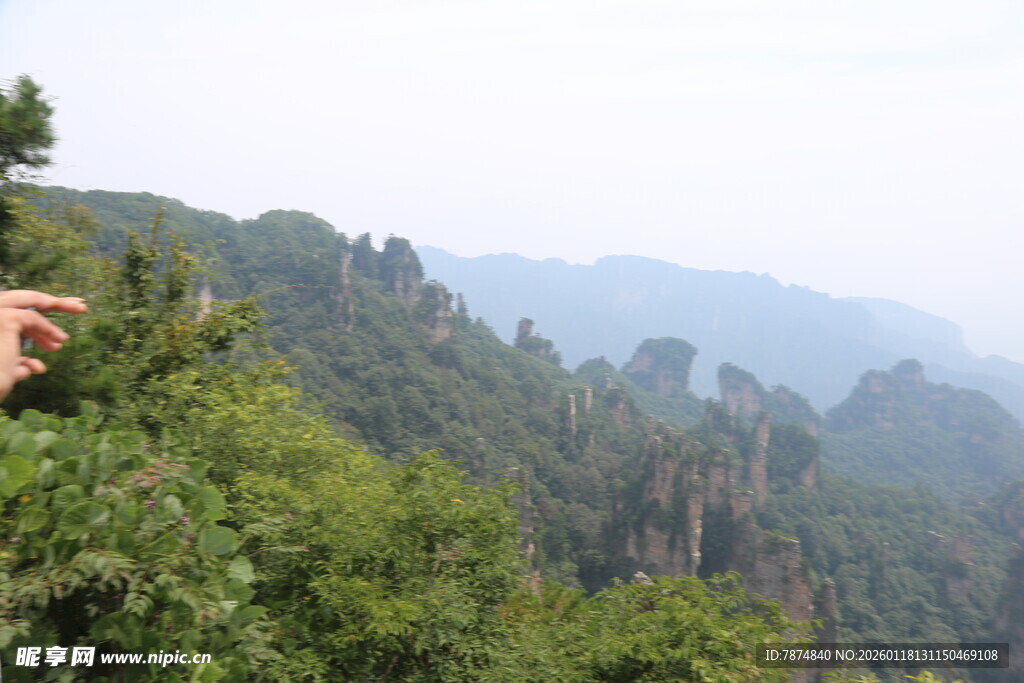 壮美山林景观