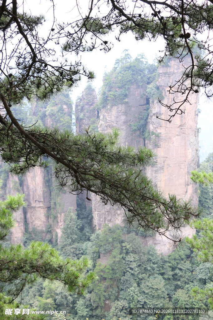 秀丽山林间的巍峨奇峰