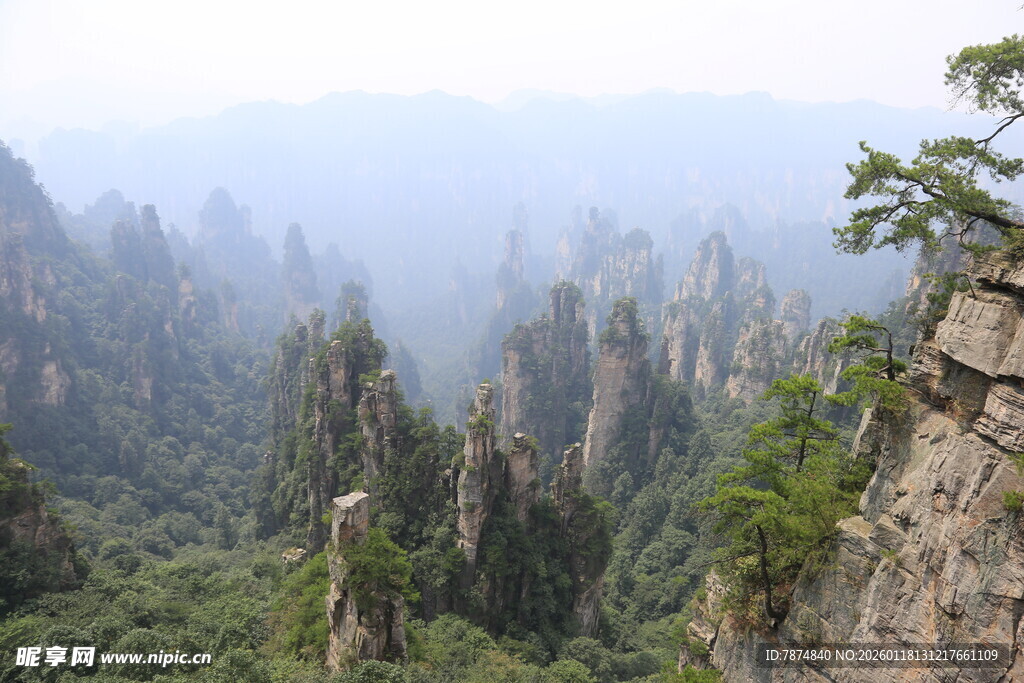 张家界奇峰美景