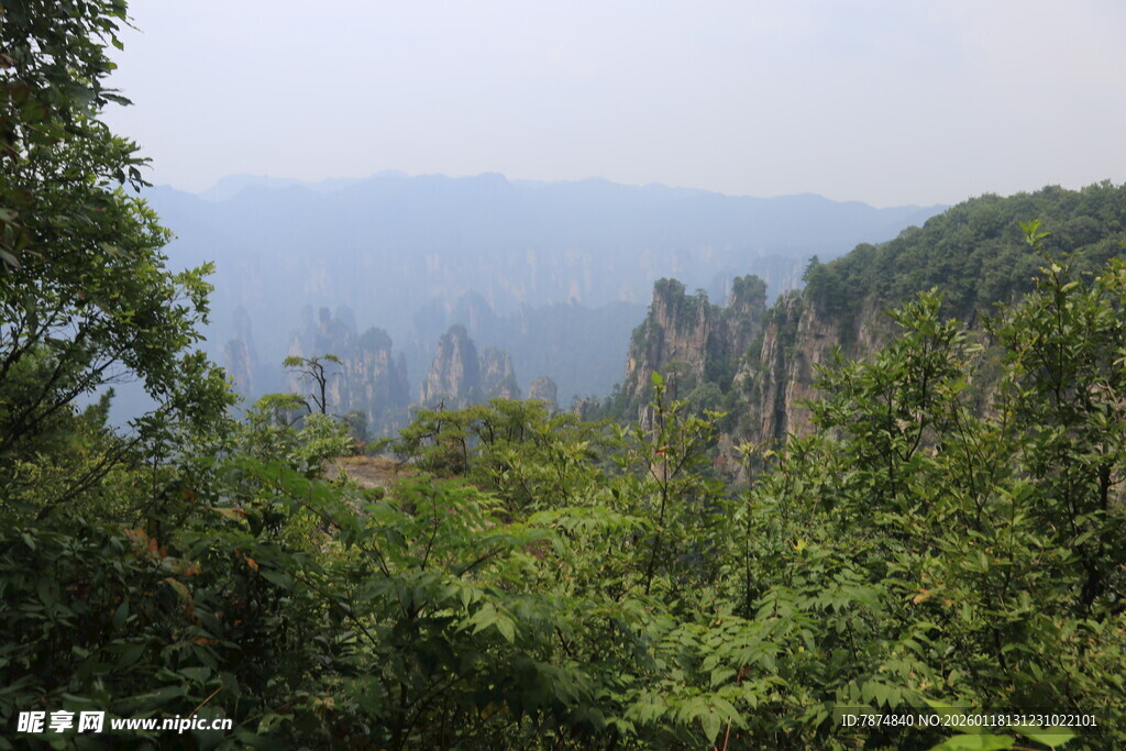 张家界奇峰秀林美景