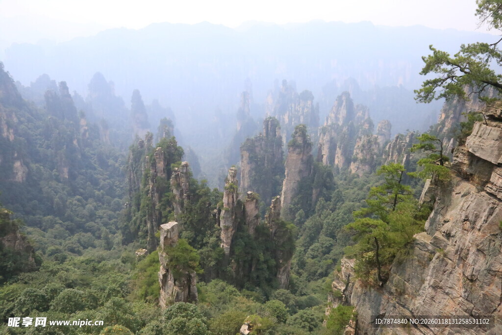 张家界奇峰美景