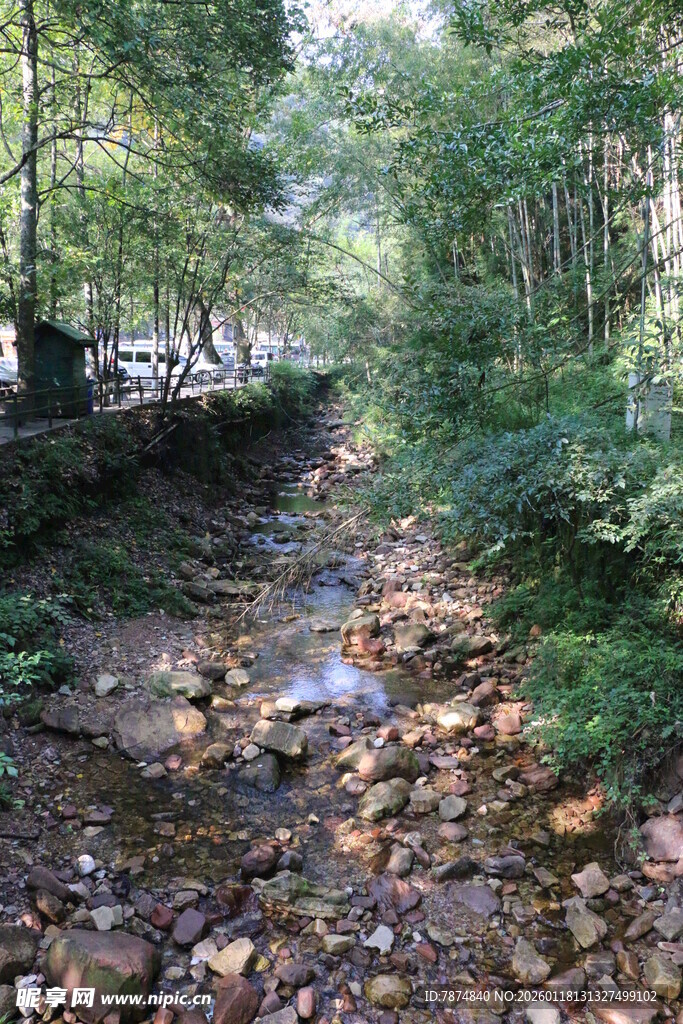 山间小溪蜿蜒于繁茂树林