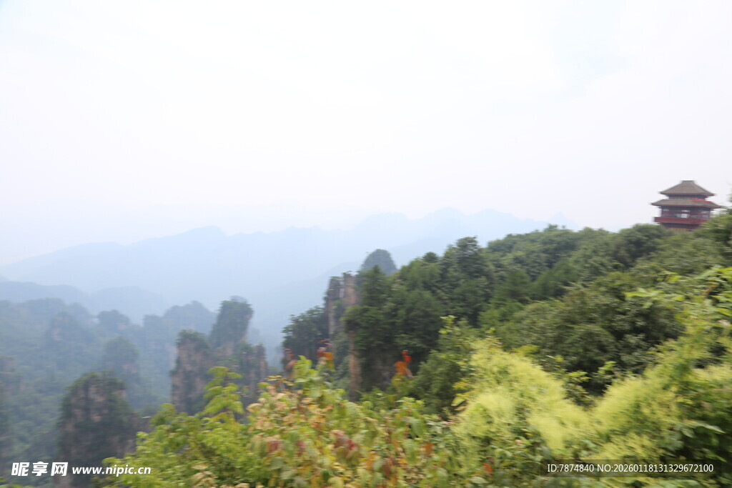 山间亭阁 隐于葱茏绿意
