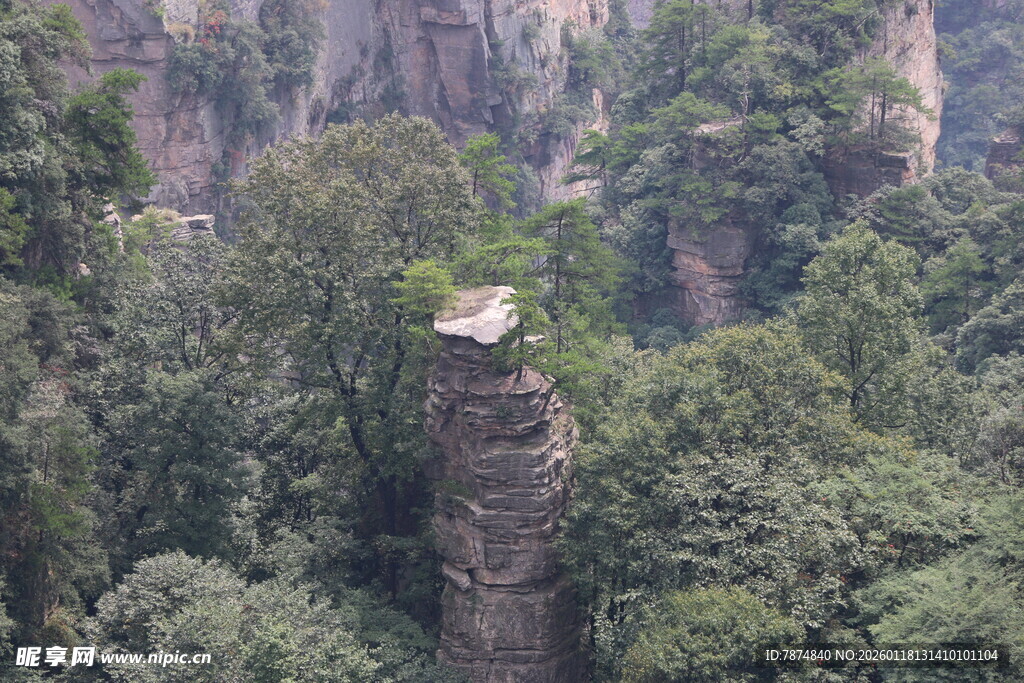 奇峰屹立于葱郁山林间