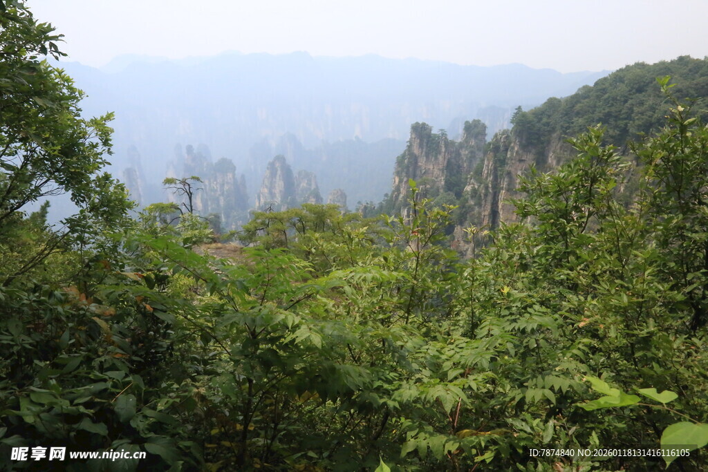 山林间的奇峰异景