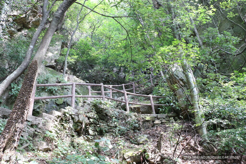 山林间的木质步道
