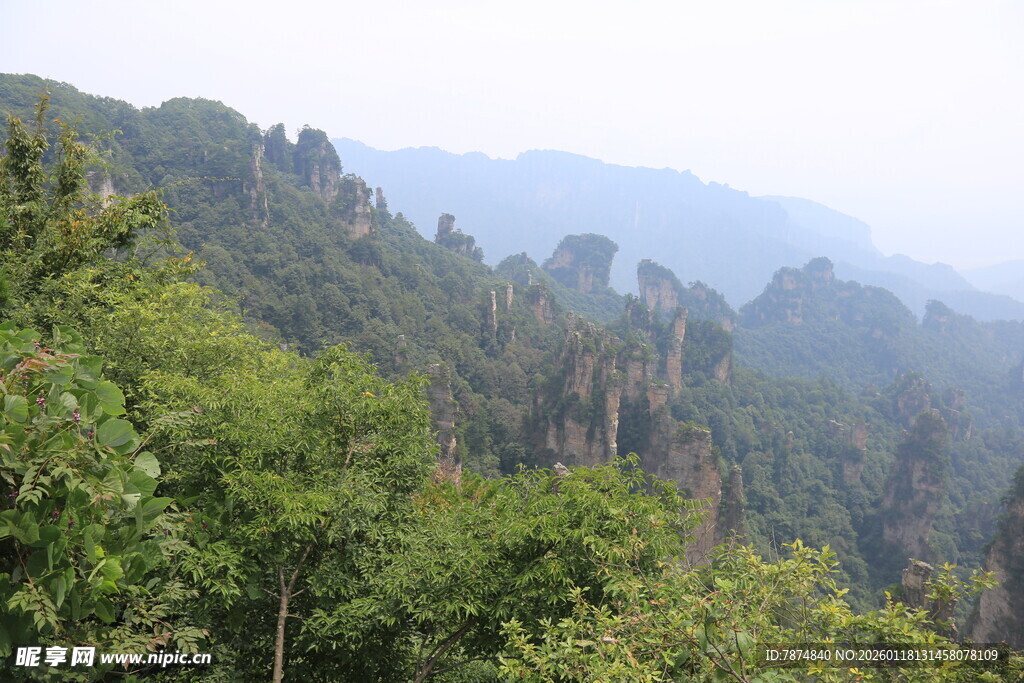 壮丽山林景观