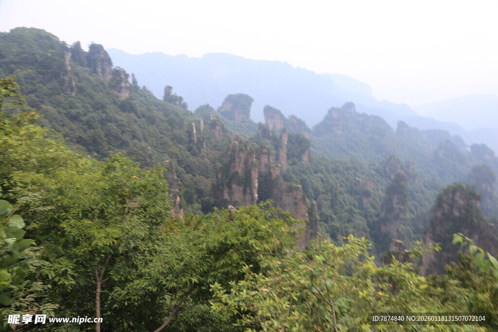 张家界奇峰异林美景