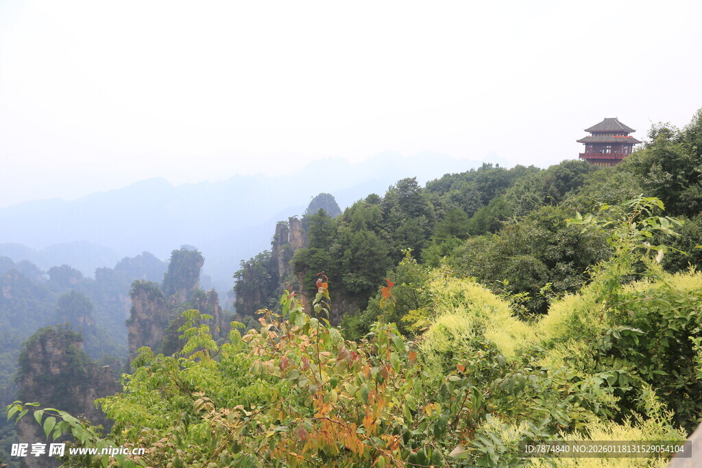 山间葱郁景色与亭阁
