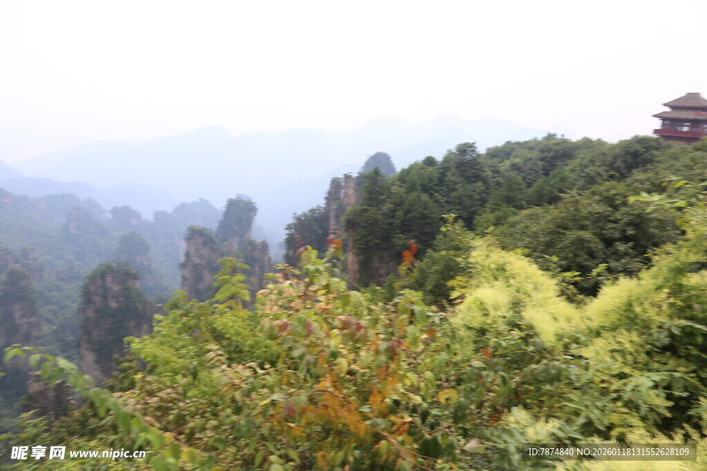 山林间的秀丽景致