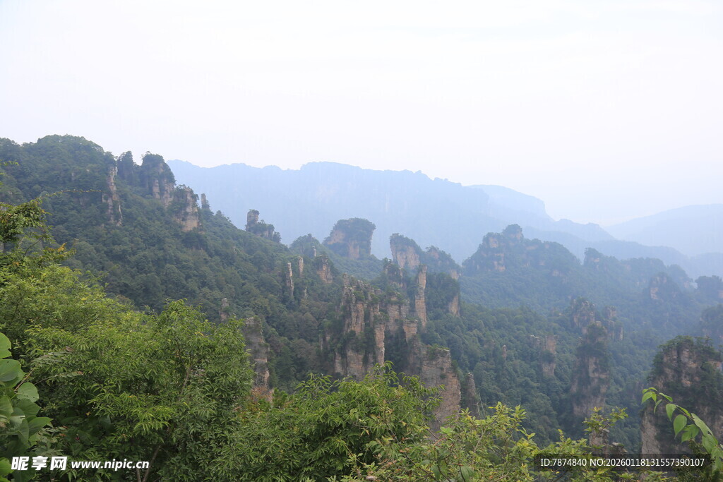 壮美山林景观