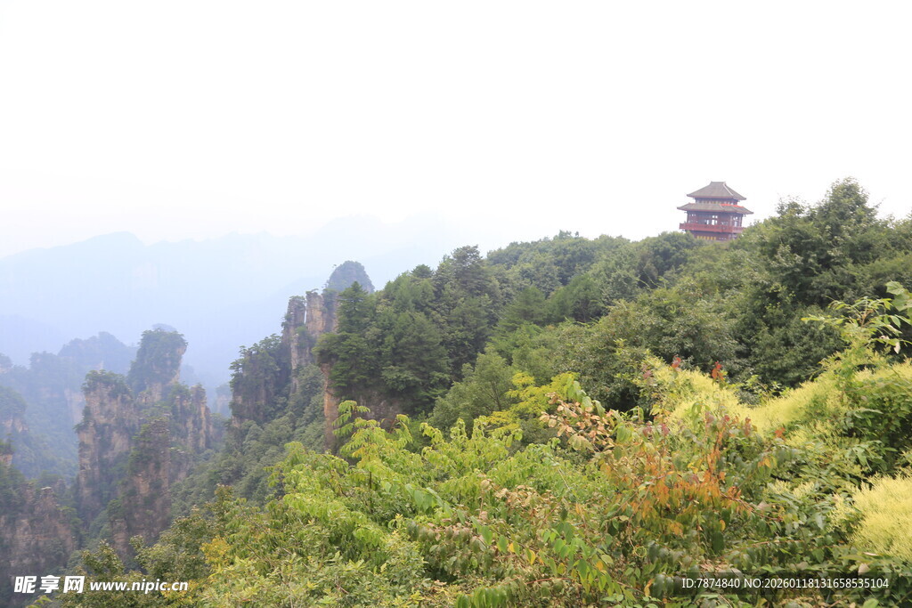 山间美景 古亭隐于葱郁间