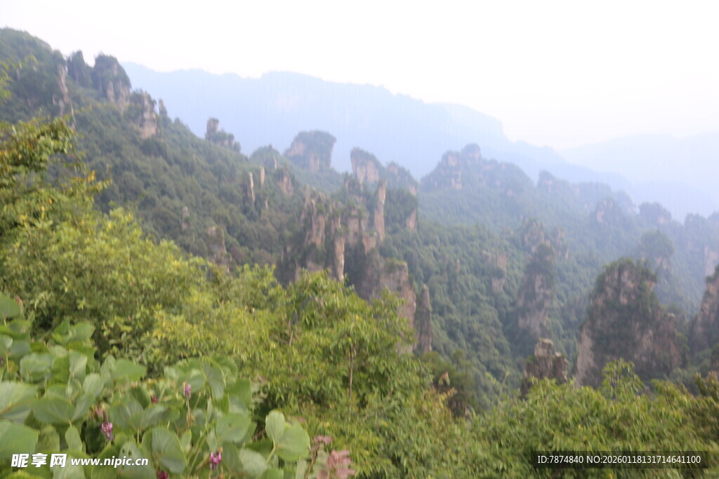 张家界奇峰异林景观