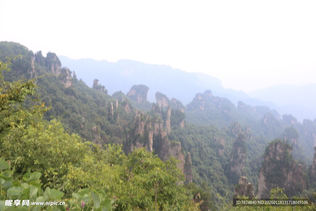 山林景观 绿意盎然的自然