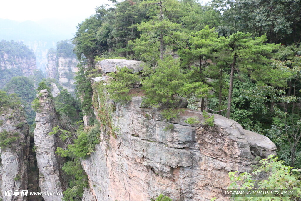 险峻峭壁上的葱郁绿意