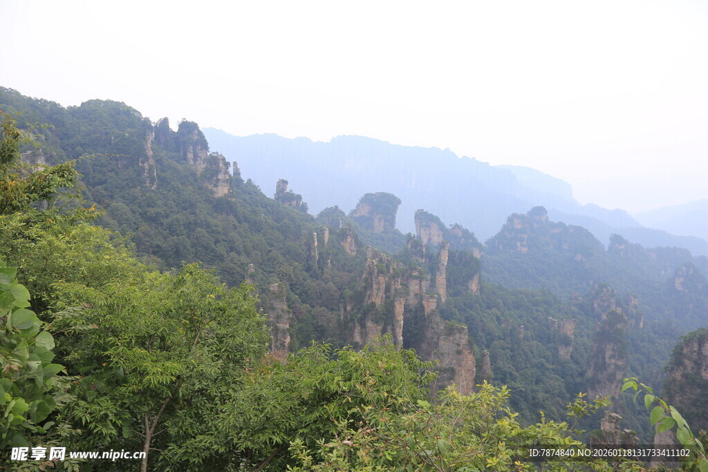 壮美山林景观