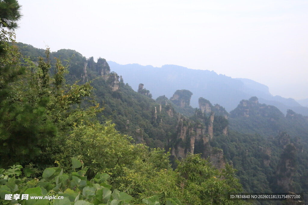 山林葱郁的自然景致