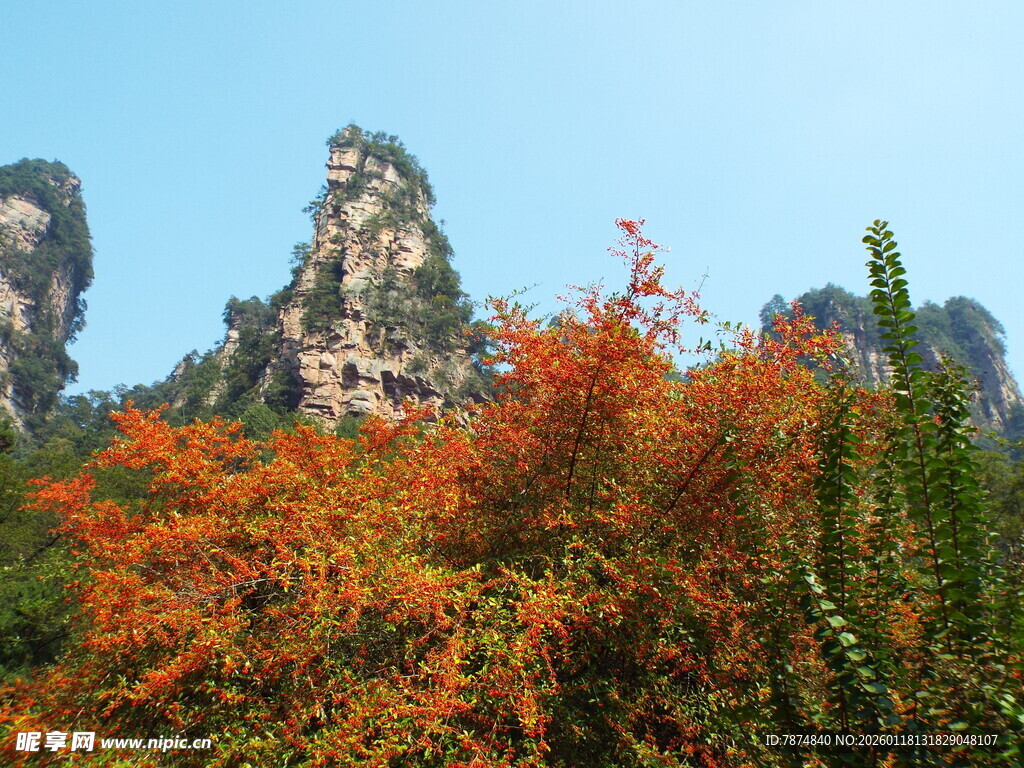 秋日山林中的奇峰异景