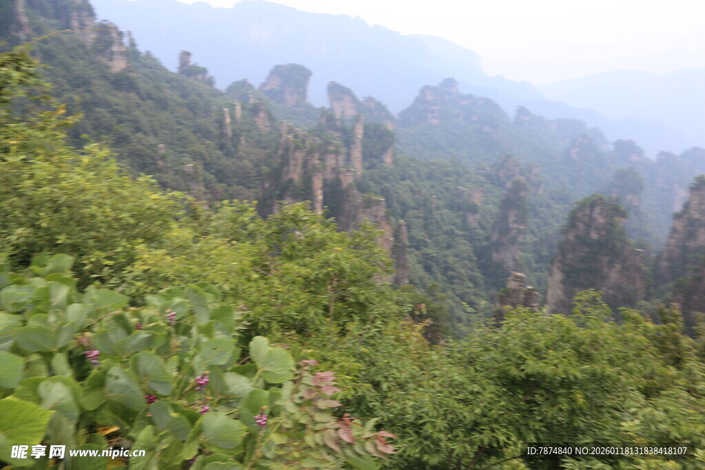 张家界奇峰异石山林景观