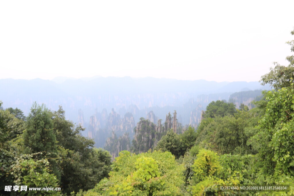 山林绿意景观