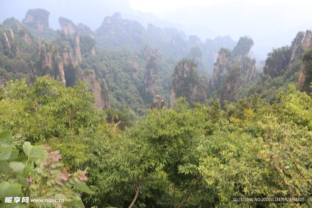 张家界奇峰异石植被繁茂