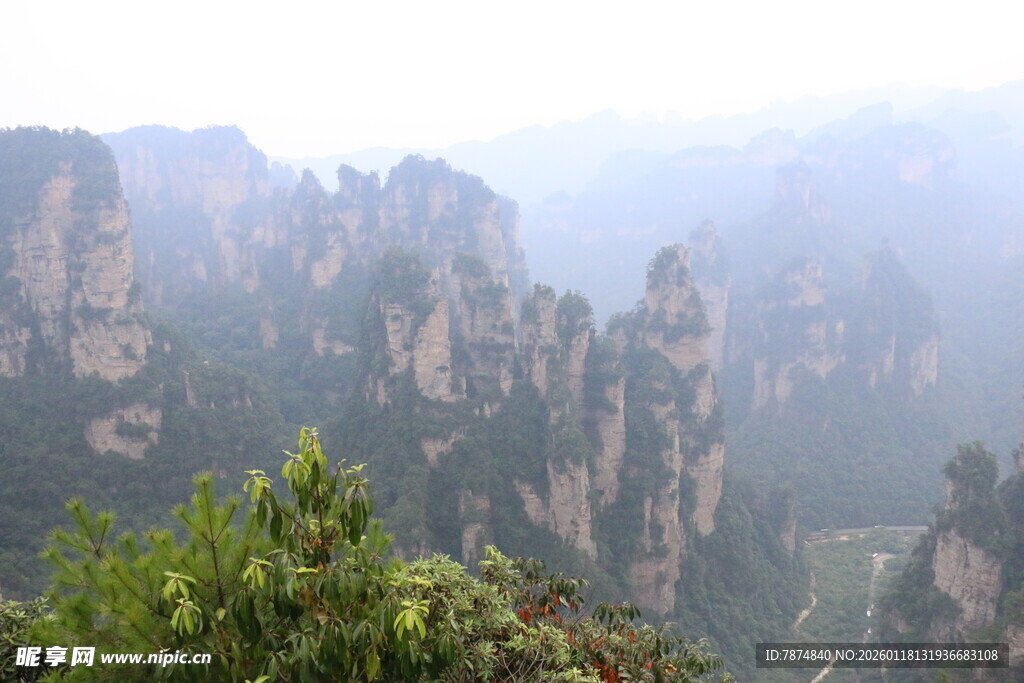 张家界奇峰景观