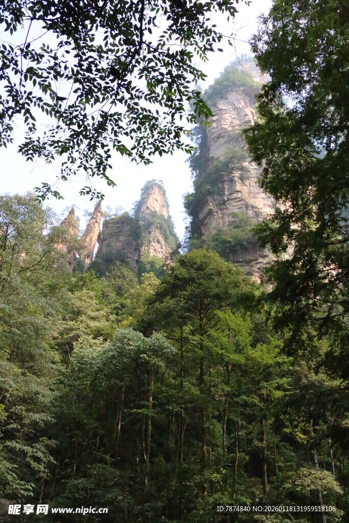 张家界奇峰隐于葱郁山林