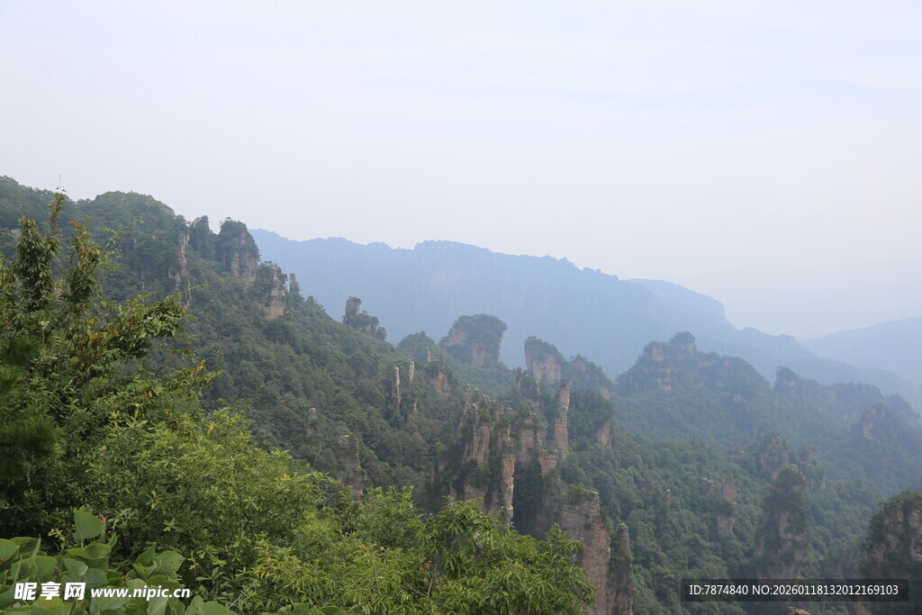 壮美山林景观
