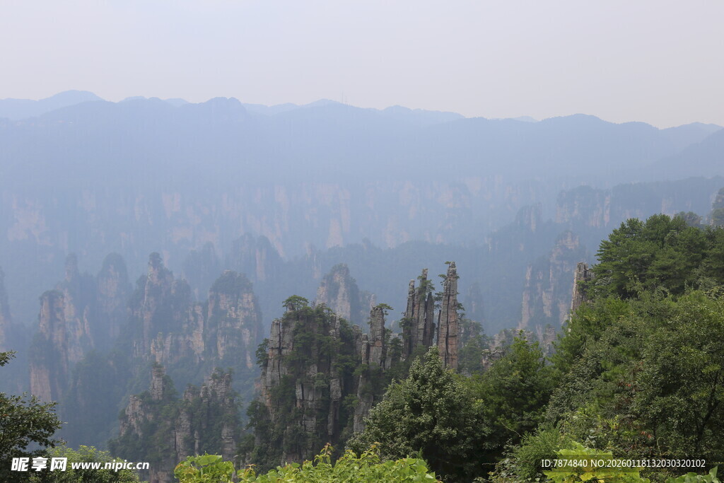 山林远景 绿意盎然