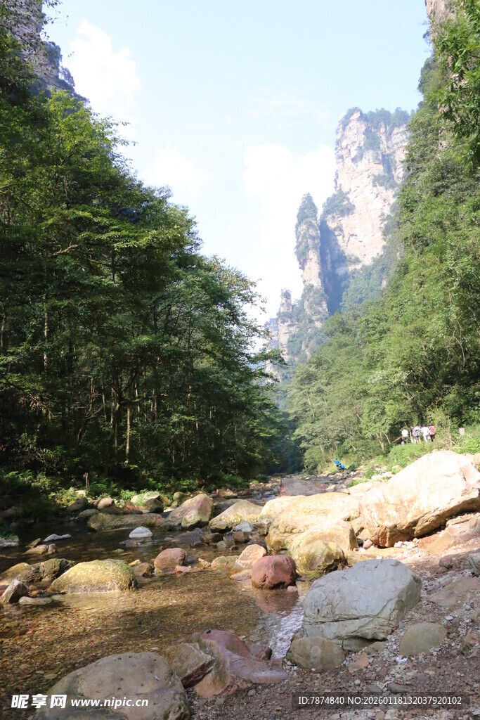 山间溪流 绿意盎然的美景