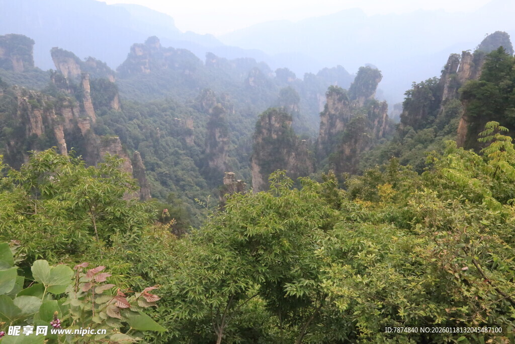 张家界奇峰异石美景