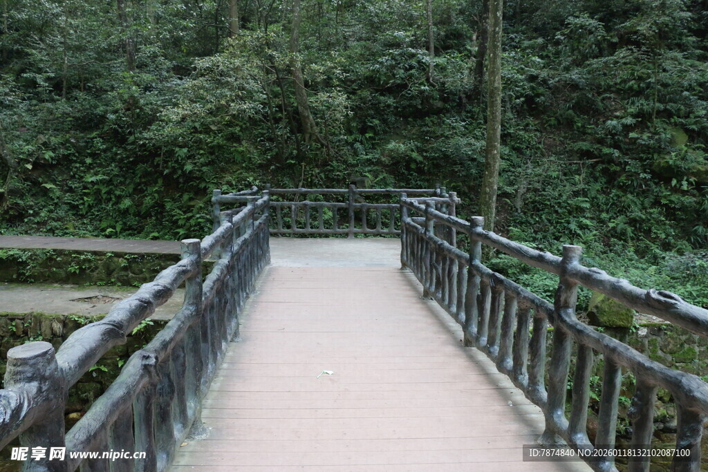 林间木栈道 自然静谧景