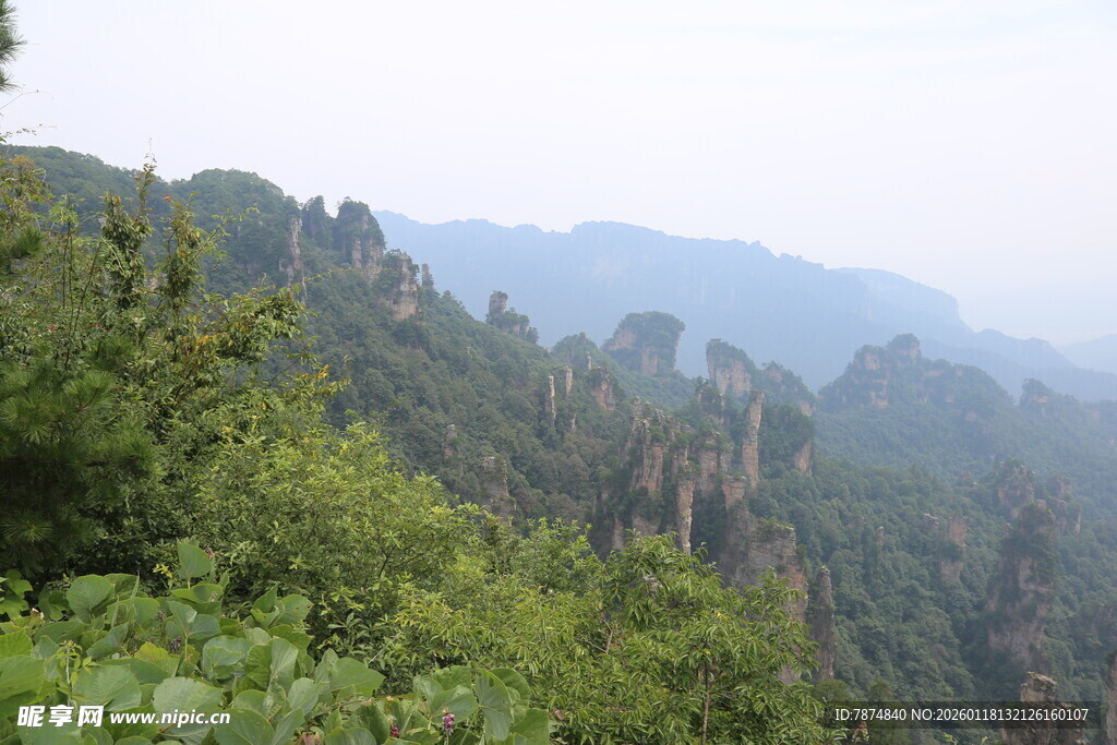 壮美山林景观