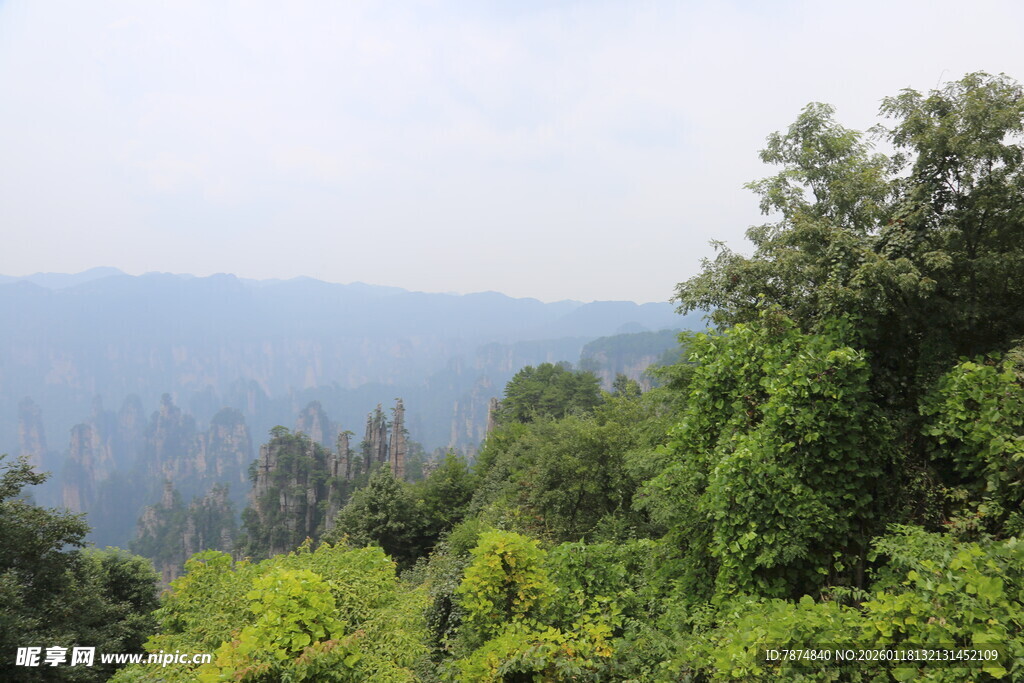山林绿意风景