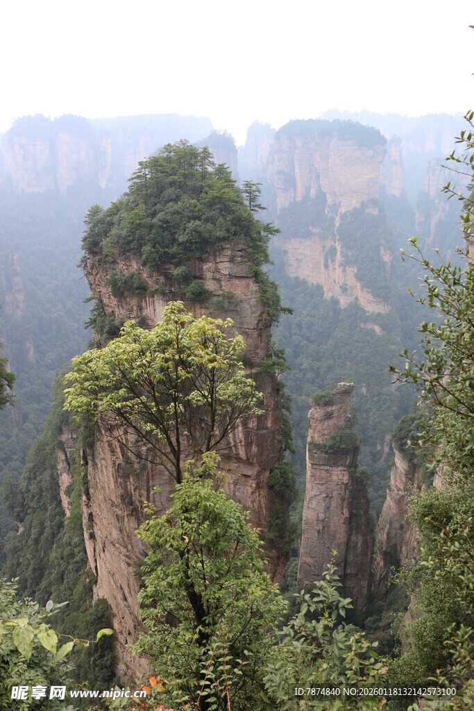 张家界奇峰异石景观