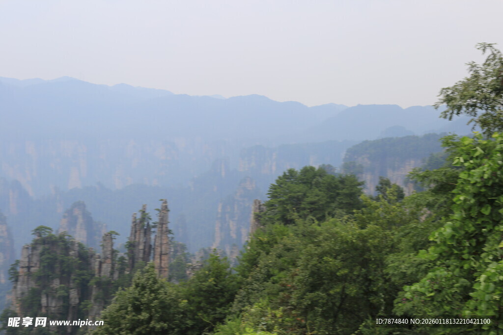 山林远景 绿意盎然