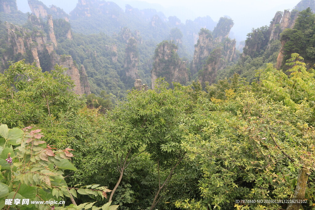 张家界奇峰异景