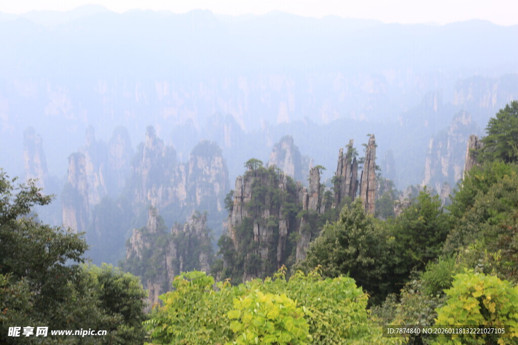 壮美山林景观