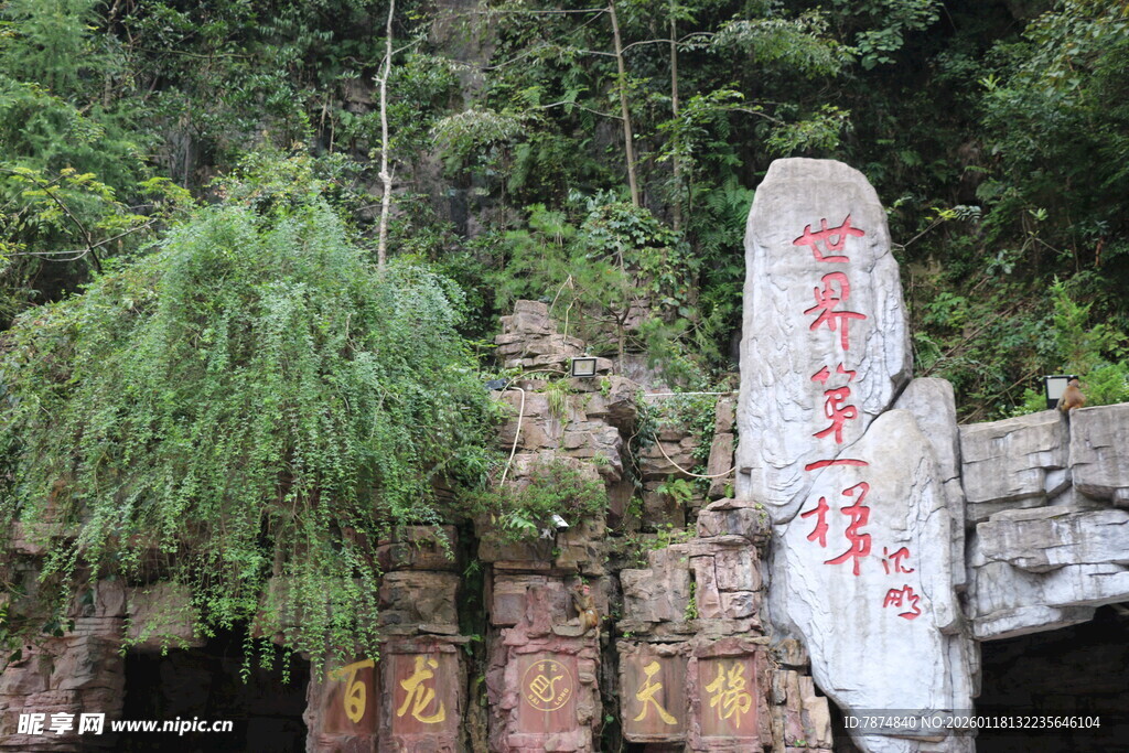 山林中的刻字石碑
